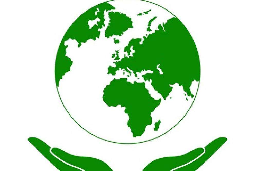 Ethical and Sustainable Procurement